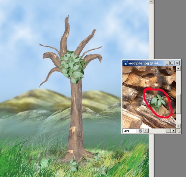 Creation of Tree: Step 2